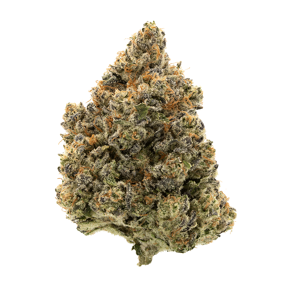 _0004_Indica-I24.png