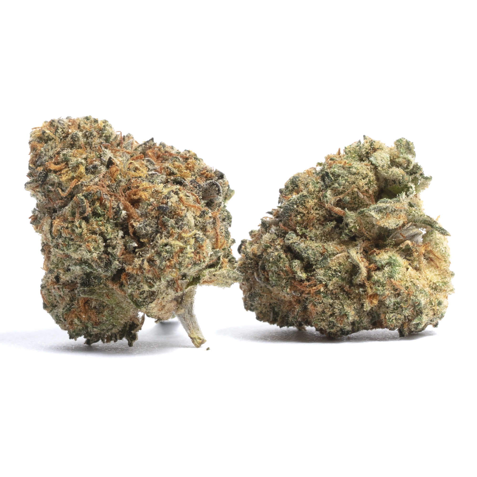 eZUymXkCSXuiM2oElpRa_COOKIES KUSH-349-edited (1).jpg